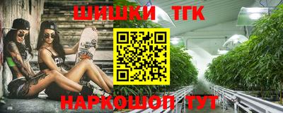 крисы Лесосибирск