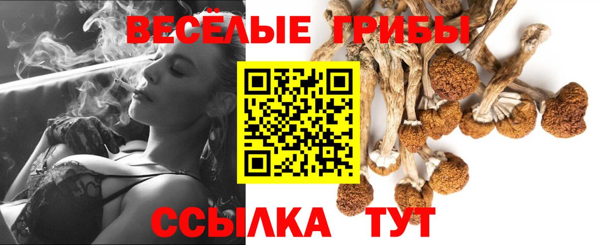 Псилоцибиновые грибы Cubensis  Вход с VPN  Екатеринбург  где купить наркоту  Псилоцибиновые грибы прущие грибы 