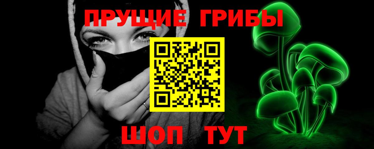 Псилоцибиновые грибы мицелий Екатеринбург